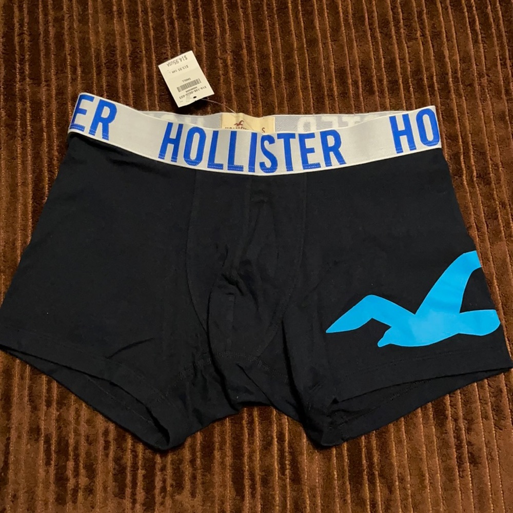 Hollister trunks